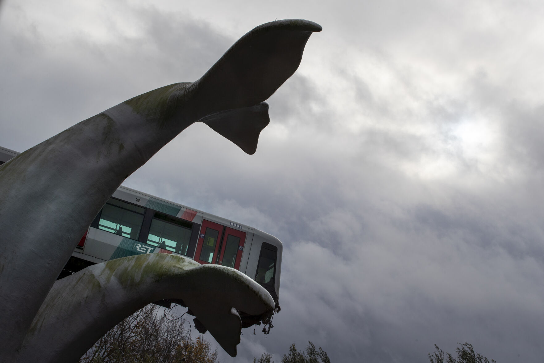 Netherlands Metro Whale